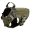 PawPeaks Adventure Harness Set